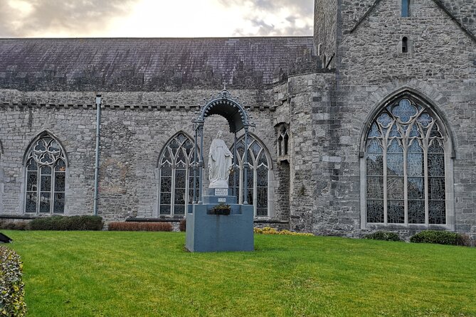 Kilkenny from Medieval to Modern City. Private Walking Tour - Rothe House and a Tudor facade