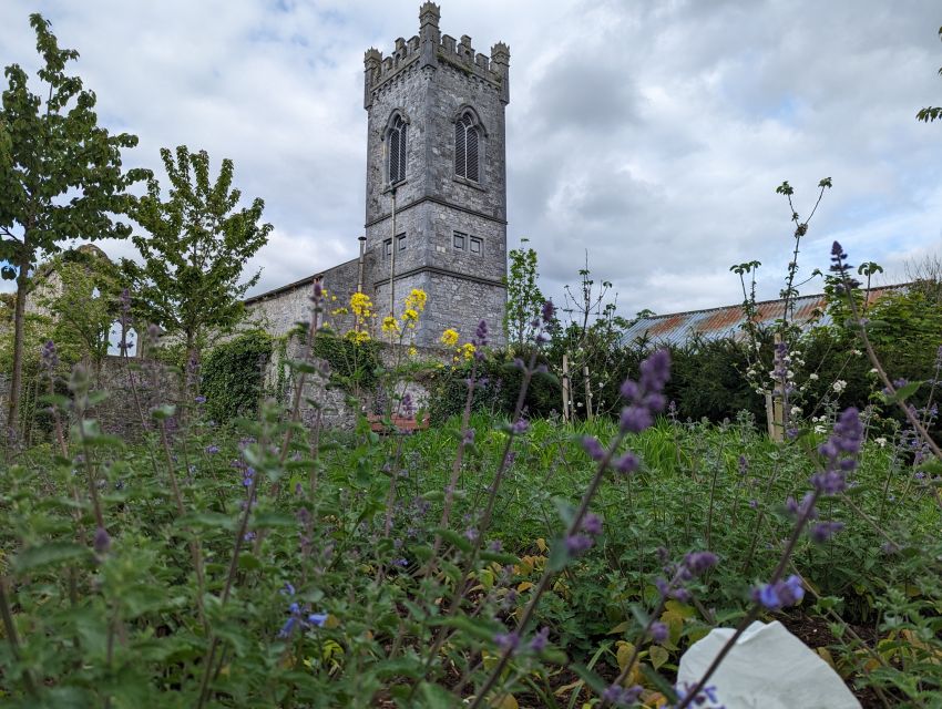 Kilkenny: Historical Highlights Walking Tour - Irishtown and the beginning of Kilkenny’s story
