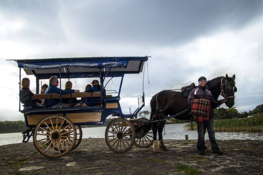 Killarney: 1-Hour Jaunting Car Horse and Carriage Tour - Key points to know before you ride