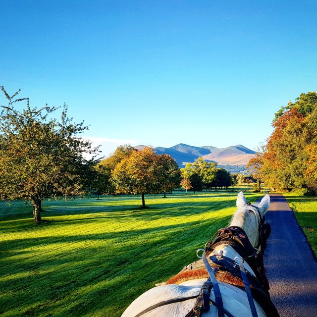 Killarney: 1-Hour Jaunting Car Horse and Carriage Tour - Why a jaunting car works so well in Killarney