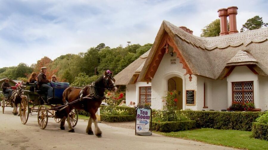 Killarney: 1-Hour Jaunting Car Horse and Carriage Tour - The ride through Killarney National Park