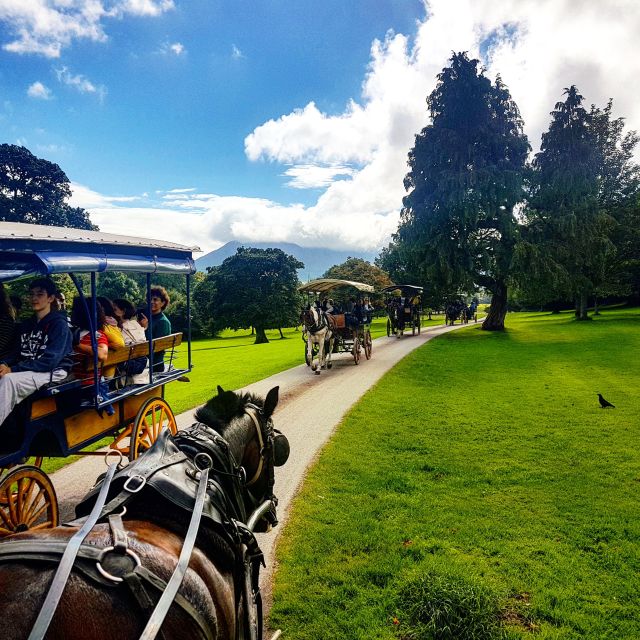 Killarney: 1-Hour Jaunting Car Horse and Carriage Tour - Who should book this one-hour ride?