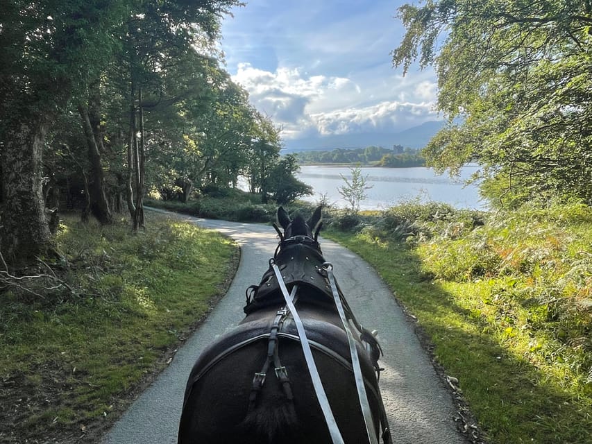 Killarney Carriage Tours National Park and Lakes - What This Killarney Carriage Tour Is Really Like