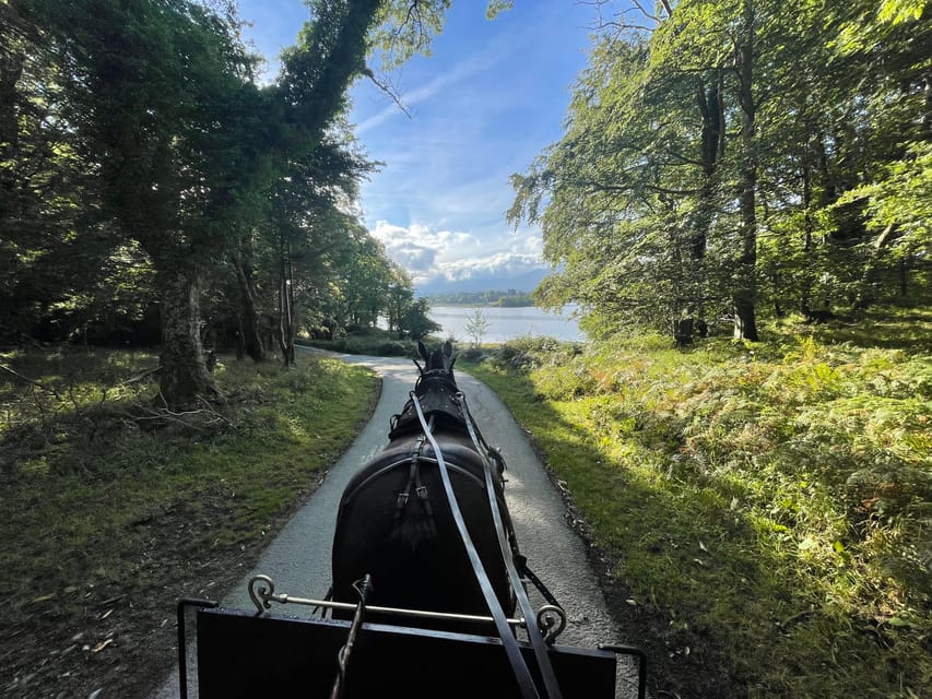 Killarney Carriage Tours National Park and Lakes - Along the Lakes of Killarney