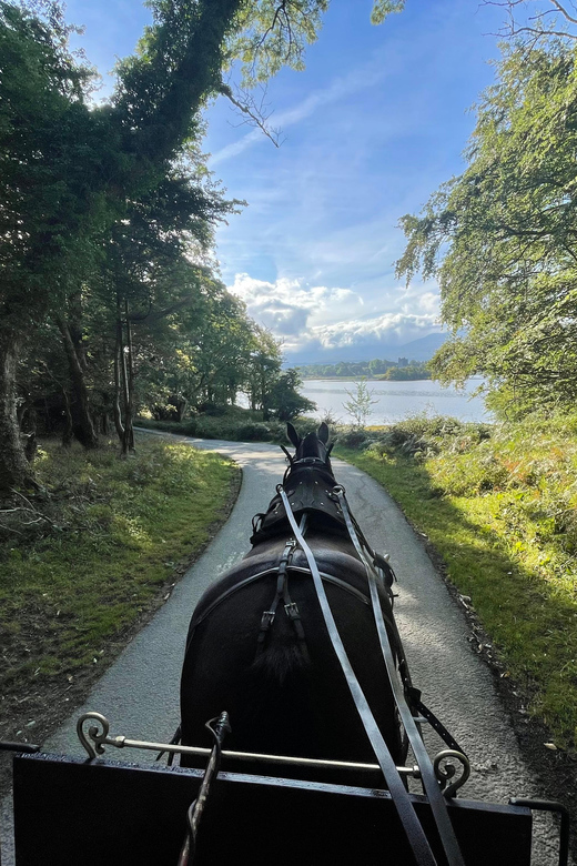 Killarney Carriage Tours National Park and Lakes - Why the Private Format Matters