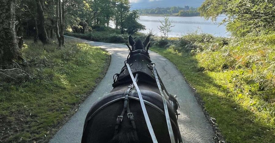 Killarney Carriage Tours National Park and Lakes - Weather, Photos, and Practical Expectations
