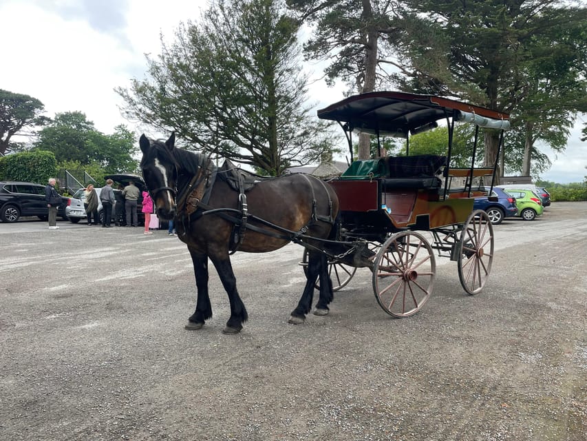 Killarney Carriage Tours National Park and Lakes - Starting at 228 Beech Road