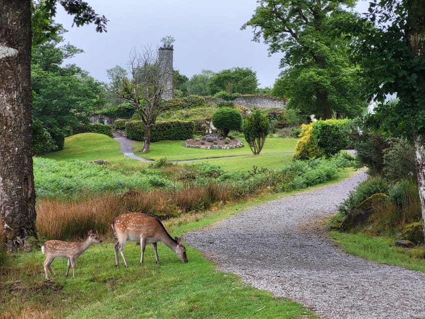 Killarney: Gap of Dunloe Day Tour - What the $68 price really covers
