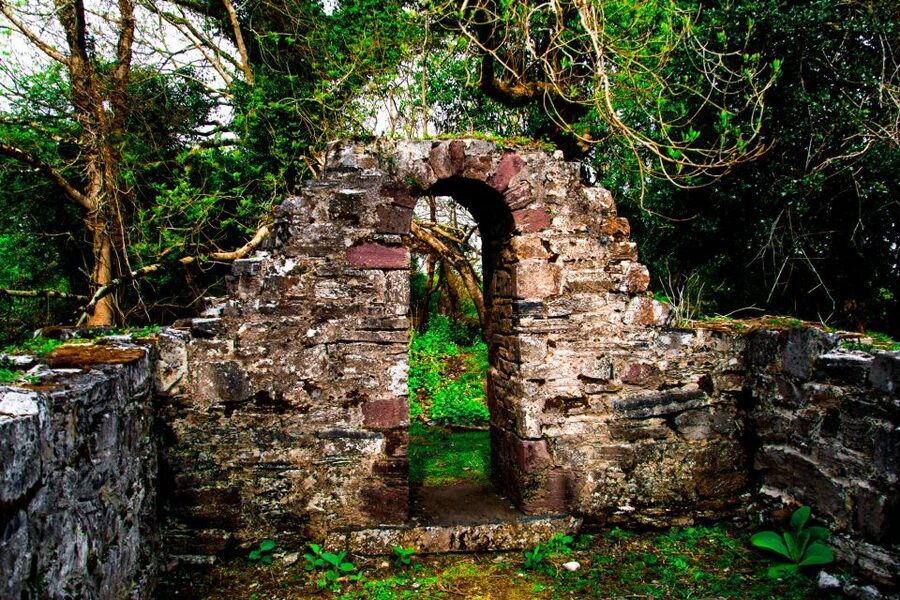 Killarney: Guided Boat Tour to Innisfallen Island - Should you book the Innisfallen Island boat tour?