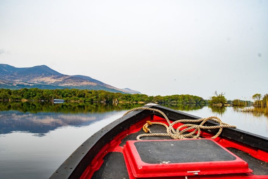 Killarney: Guided Boat Tour to Innisfallen Island - Starting at Ross Castle and Reen Pier