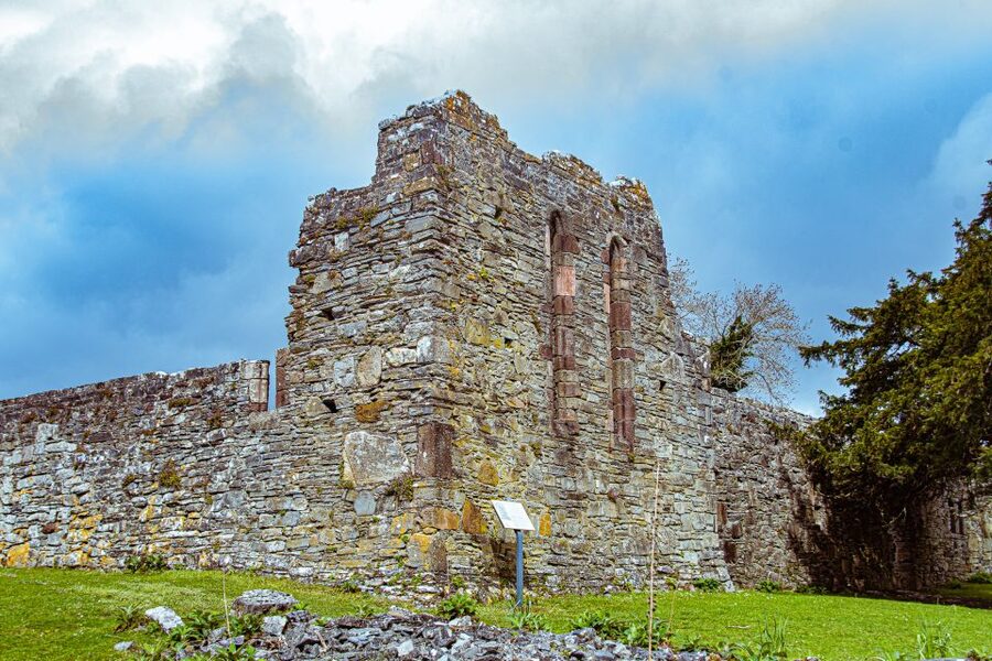 Killarney: Guided Boat Tour to Innisfallen Island - Walking among 950 years of island history