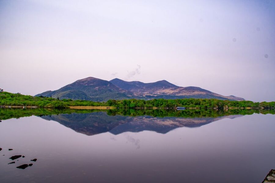 Killarney: Guided Boat Tour to Innisfallen Island - Is $24 a fair price?