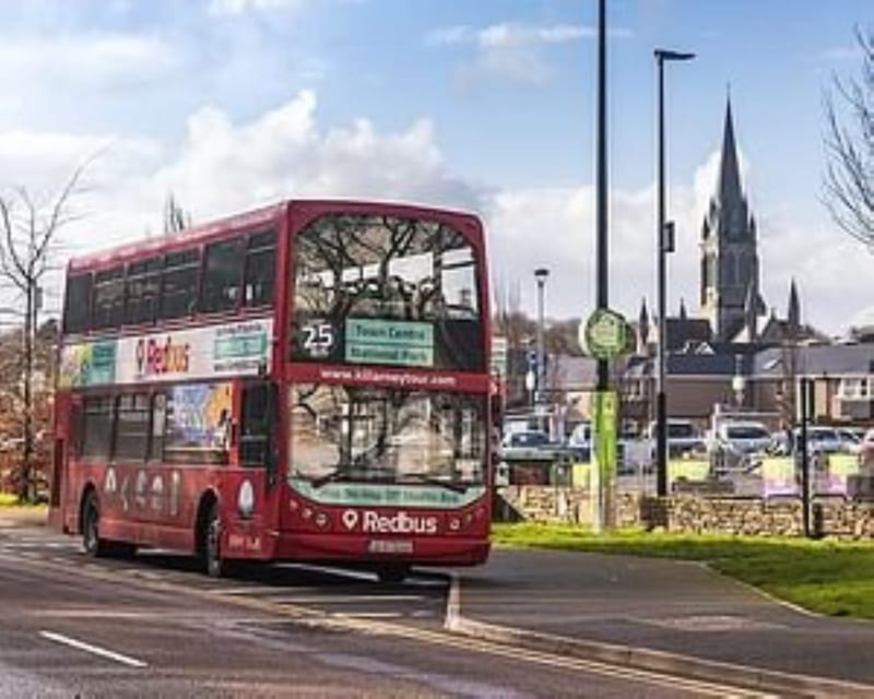 Killarney: Hop-On Hop-Off Bus to Killarney National Park - Why this bus works so well in Killarney National Park