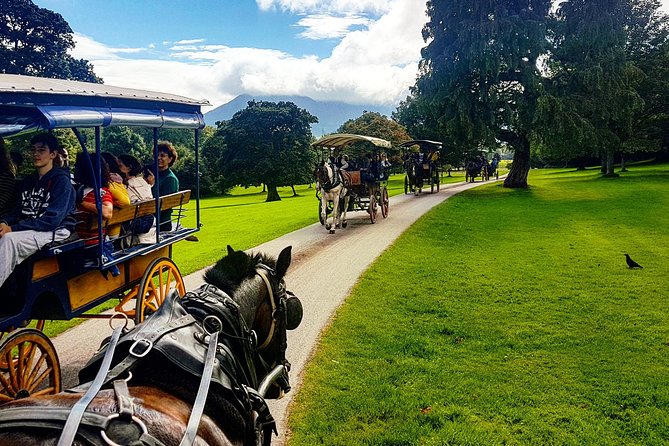 Killarney Jaunting Car & Lily of Killarney Watercoach Tour - Who should book this experience