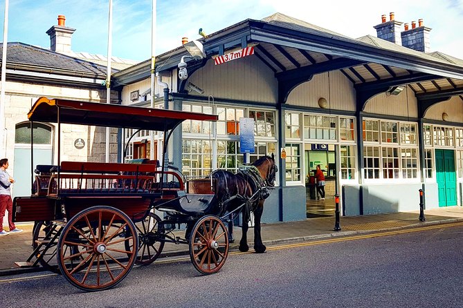 Killarney Jaunting Car & Lily of Killarney Watercoach Tour - Ross Island copper mines and centuries of local history