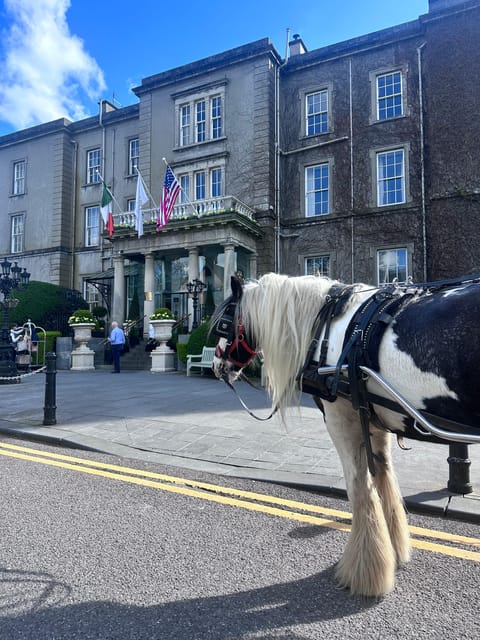 Killarney Jaunting Car Tour - What the $51 price gives you