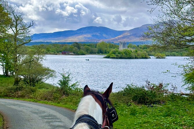 Killarney Jaunting Car Tour - Killarney House Gardens and the cathedral