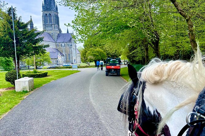 Killarney Jaunting Car Tour - Stories, folklore, and the driver’s style