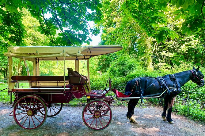 Killarney Jaunting Car Tour - What the private format means for you