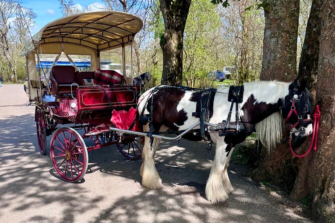 Killarney Jaunting Car Tour - Rain, comfort, and family appeal
