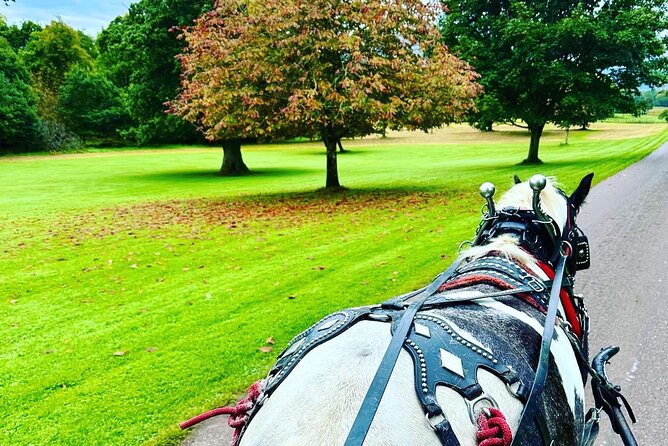 Killarney Jaunting Car Tour - Is one hour enough?