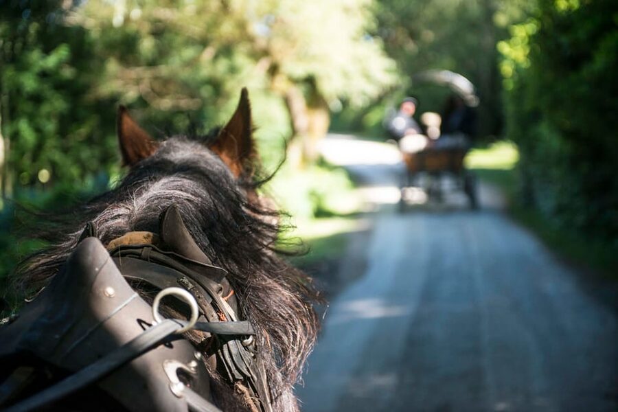 Killarney: Jaunting Car Tour with Afternoon Tea - Key points at a glance