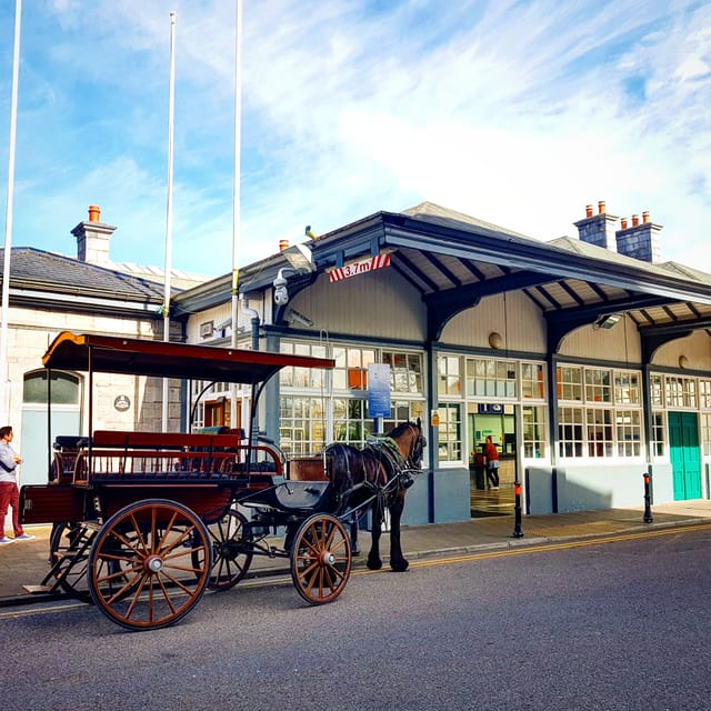 Killarney: Jaunting Car Tour with Afternoon Tea - Who will enjoy this Killarney tour?