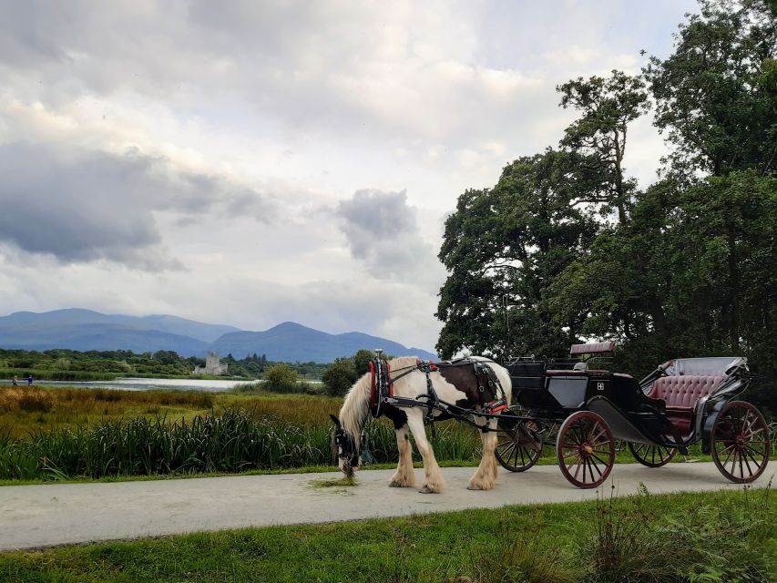 Killarney: Killarney National Park Private Tour - Ross Castle beside Lough Leane