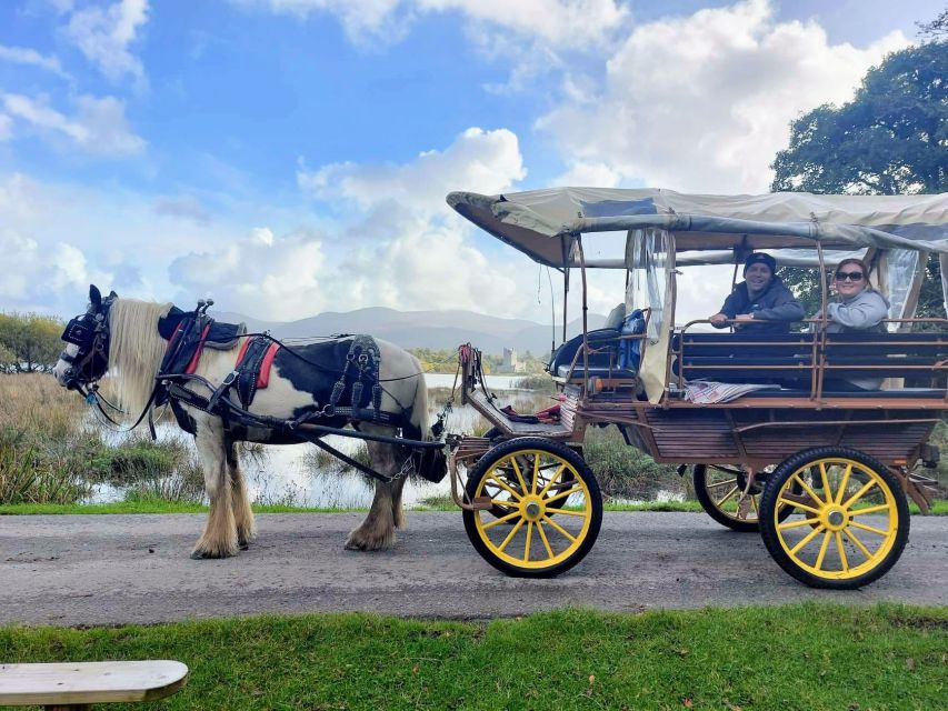Killarney: Killarney National Park Private Tour - Innishfallon and Killarney’s older stories