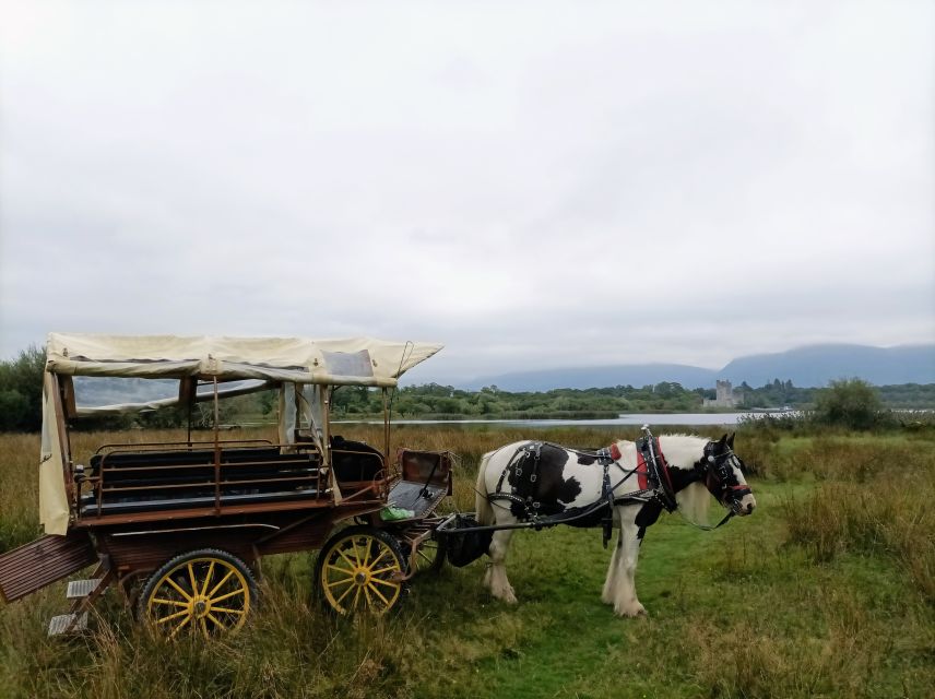 Killarney: Killarney National Park Private Tour - Killarney House and Gardens in a short one-hour route