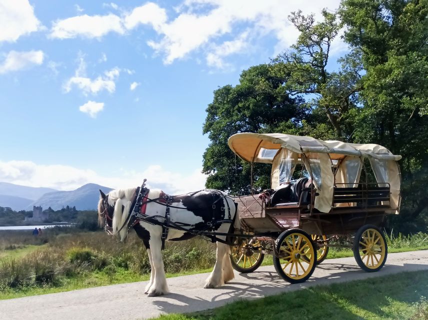 Killarney: Killarney National Park Private Tour - Weather, comfort, and what to bring