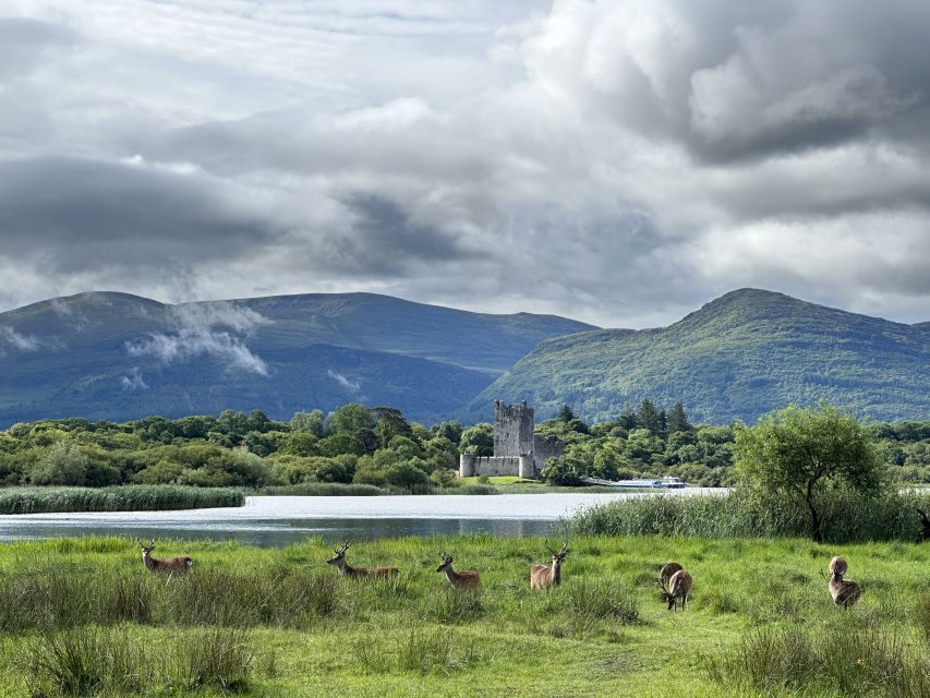 Killarney: Killarney National Park Private Tour - The jaunting car ride through Killarney National Park