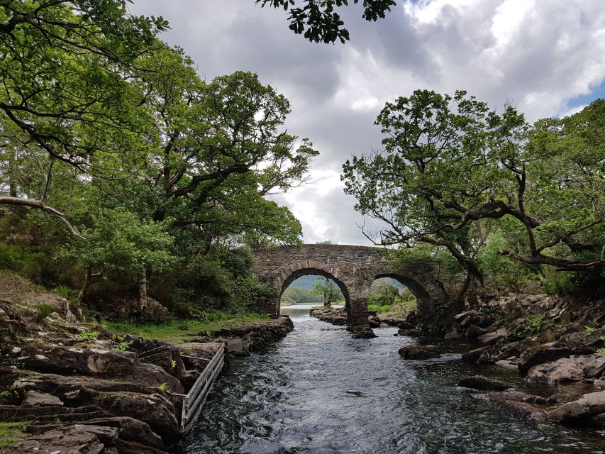 Killarney: Lakes of Killarney Boat Tour with Transfer - Why this tour works so well in Killarney