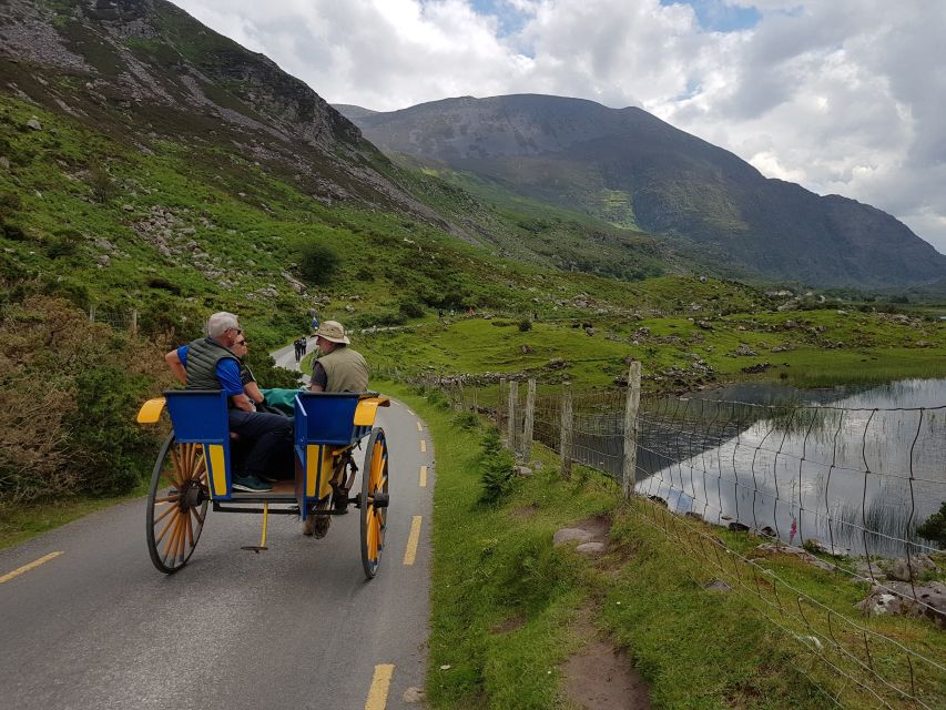 Killarney: Lakes of Killarney Boat Tour with Transfer - Lunch at Lord Brandon’s Cottage