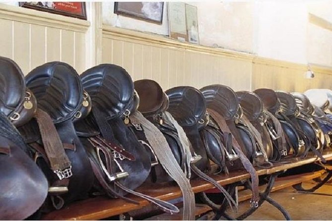 Killarney National Park Horseback Ride. Co Kerry. Guided. 1 hour. - Helmets, boots, and physical requirements
