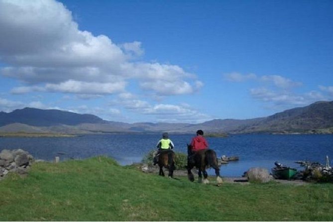 Killarney National Park Horseback Ride. Co Kerry. Guided. 1 hour. - Group size and guide support