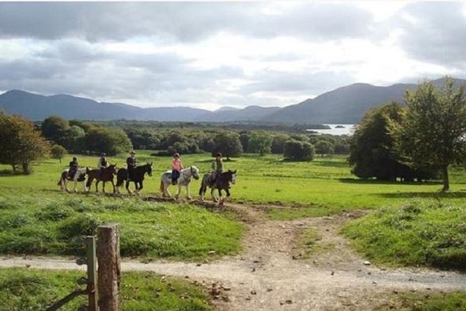 Killarney National Park Horseback Ride. Co Kerry. Guided. 1 hour. - Riding into Killarney National Park