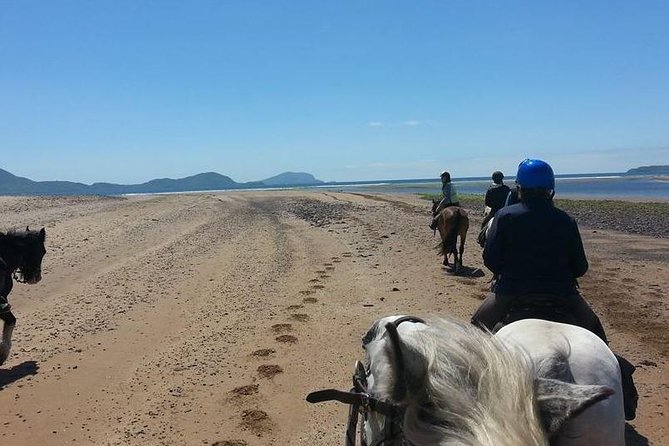 Killarney National Park Horseback Ride. Co Kerry. Guided. 2 hours. - Deer sightings and the quieter side of Ireland