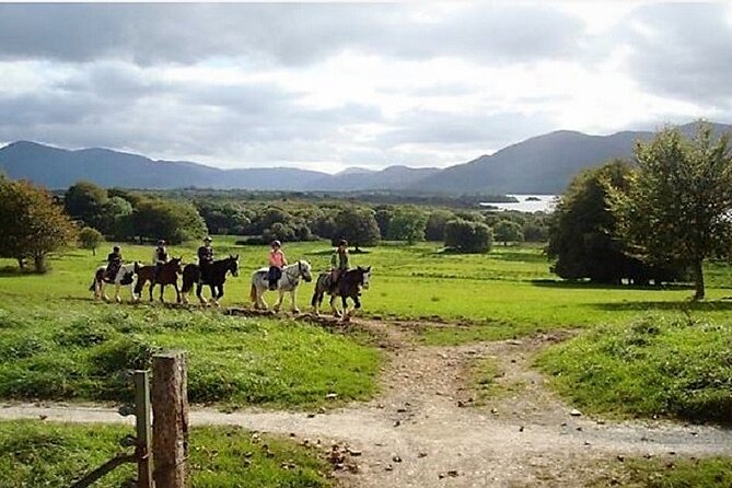 Killarney National Park Horseback Ride. Co Kerry. Guided. 3 hours. - Is $282.97 a fair price?