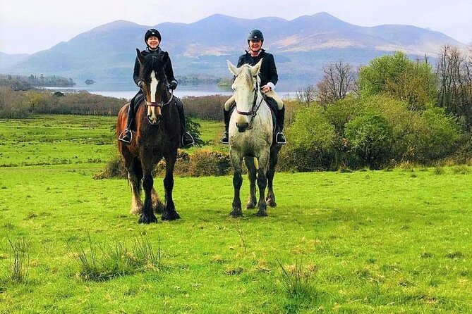 Killarney National Park Horseback Ride. Co Kerry. Guided. 3 hours. - Who should book this ride?