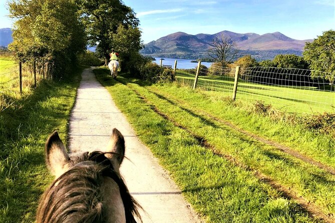 Killarney National Park Horseback Ride. Co Kerry. Guided. 3 hours. - Timing, weather, and the small details that matter