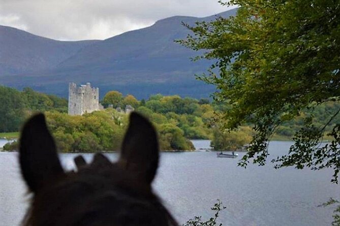 Killarney National Park Horseback Ride. Co Kerry. Guided. 3 hours. - The main drawback: duration and expectations