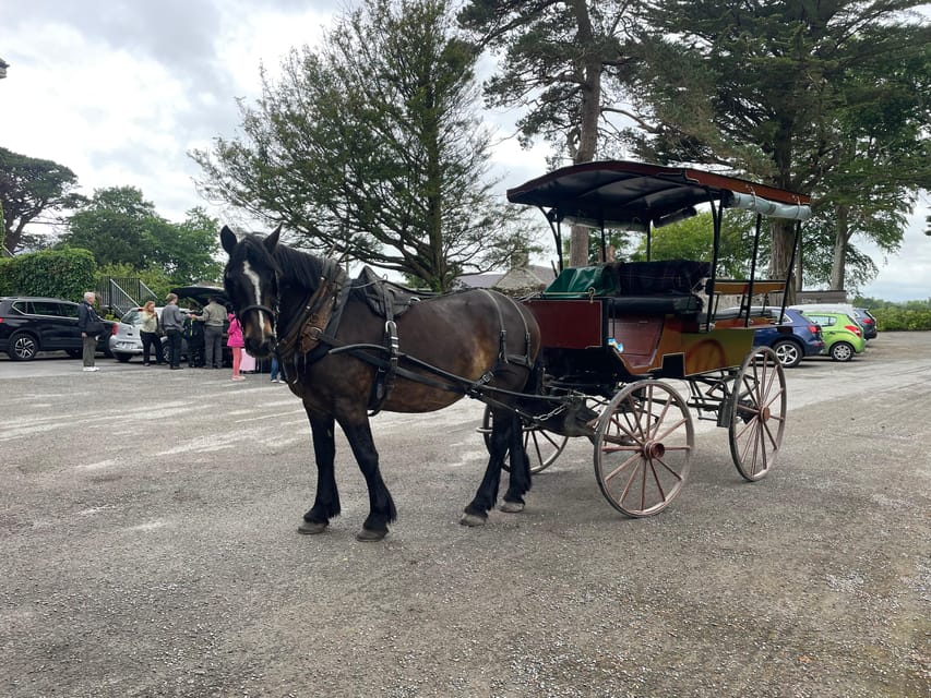 Killarney National Park Jaunting Car Tour - Starting beside Discover Ireland on Beech Road