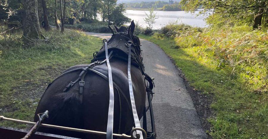 Killarney National Park Jaunting Car Tour - Along the shore of Lough Leane