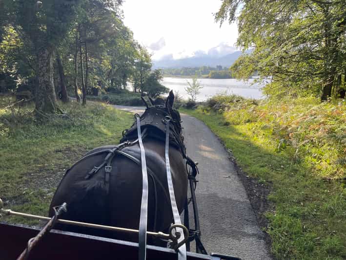 Killarney National Park Jaunting Car Tour - What the guide adds to the ride