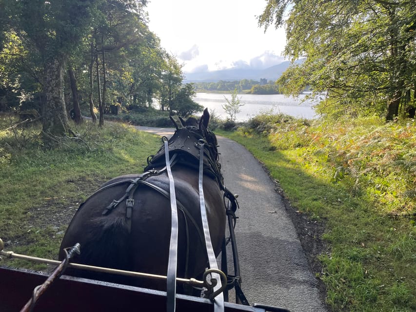 Killarney National Park Jaunting Car Tour - Riding into Killarney National Park