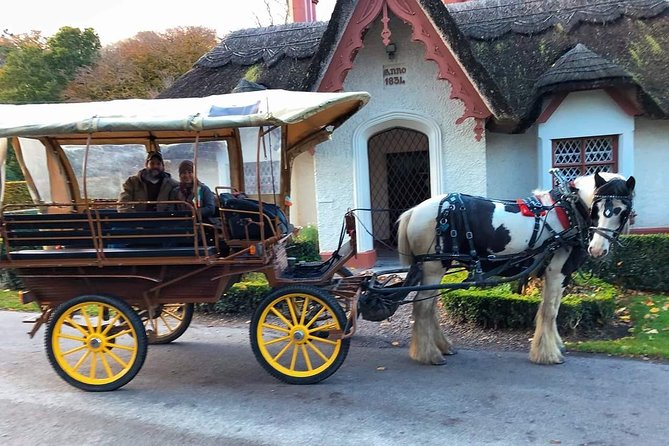 Killarney National Park Tour - Key points to know before booking