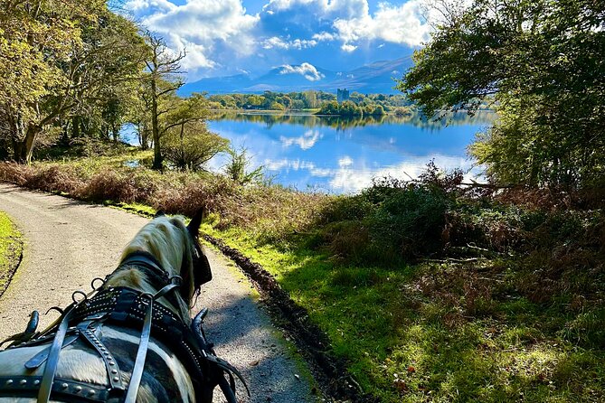 Killarney National Park Tour - Setting out beside Killarney’s lakes