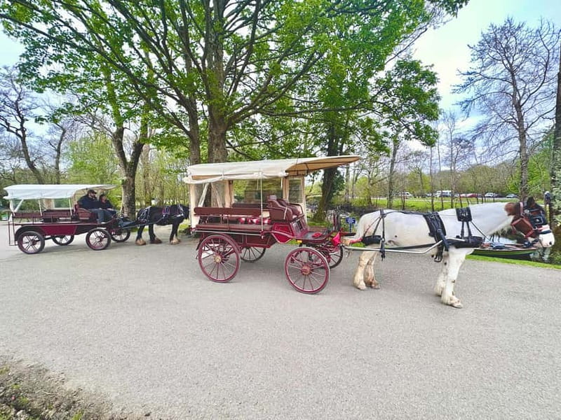 Killarney National Park Tour - Passing Killarney House and Gardens
