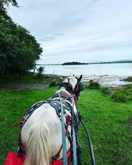 Killarney National Park Tour - What the guide adds to the hour